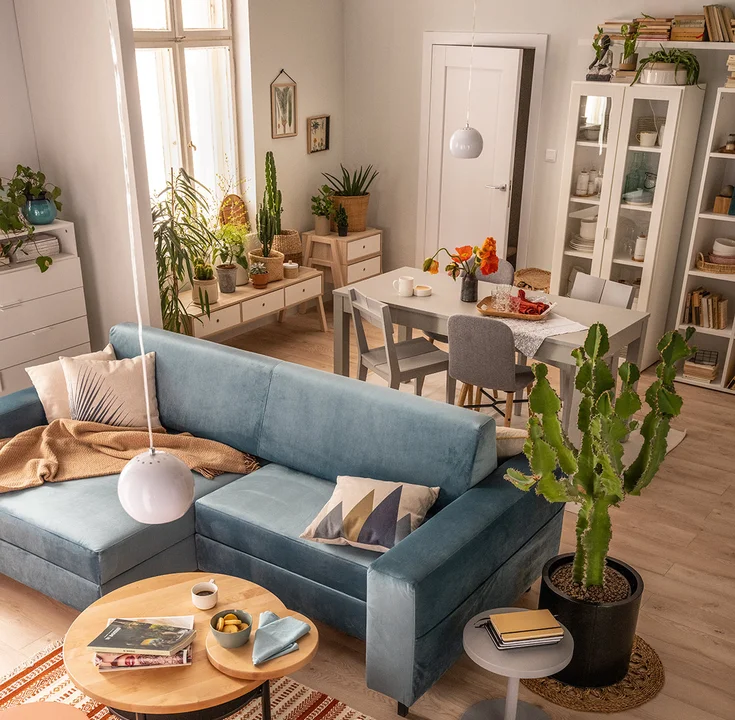 Przytulny salon z jadalnią i błękitną sofą, pełen roślin i naturalnego światła